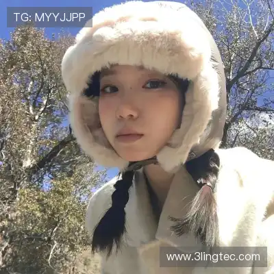 刁帆展
